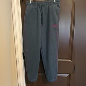 Puma Women’s Blue Jogger Sweatpants Pink Piping Logo Size Medium